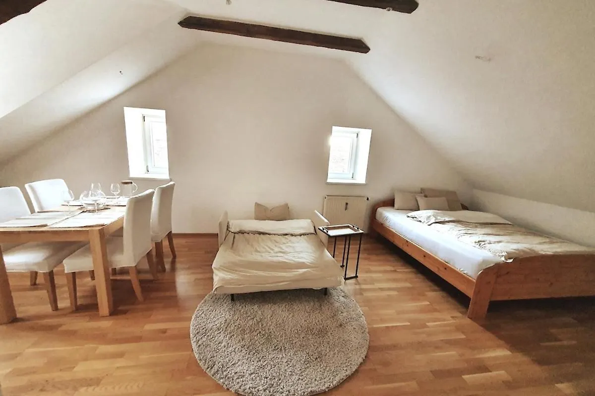 Altbau Wohnung Mitten In غراتس