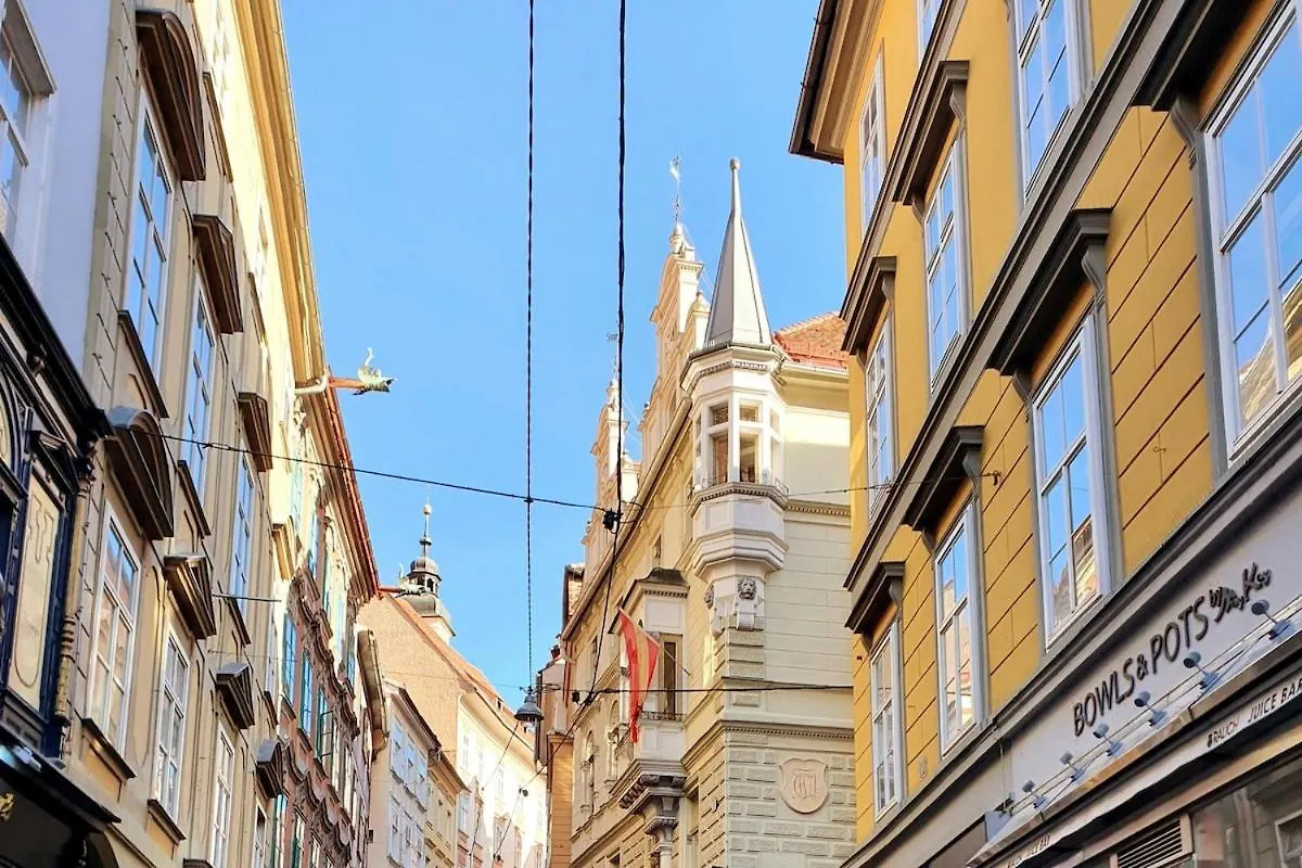 Altbau Wohnung Mitten In غراتس النمسا