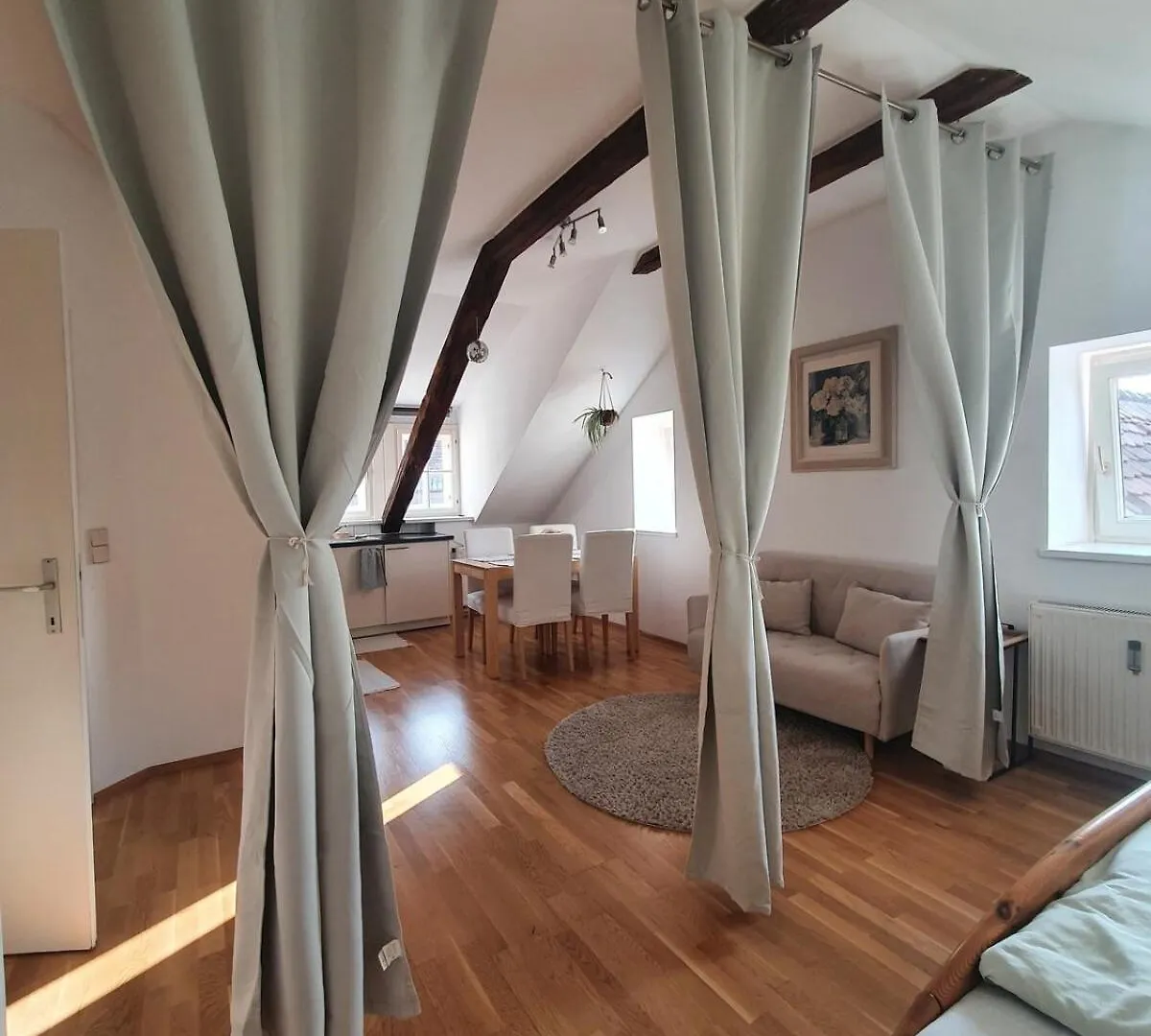 Altbau Wohnung Mitten In Graz